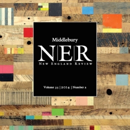 ner_35-2_front_cover-sq