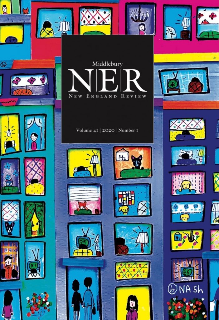 Cover art of NER 41.1, spring 2020. Bright-colored cover art of a hand-drawn apartment building front, with faces of people, pets, and more, all going about their business.